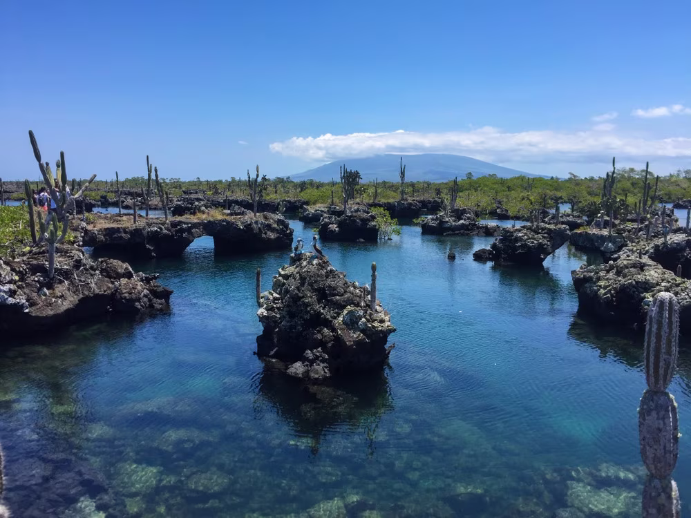Evasión libertad en Galápagos 8 días